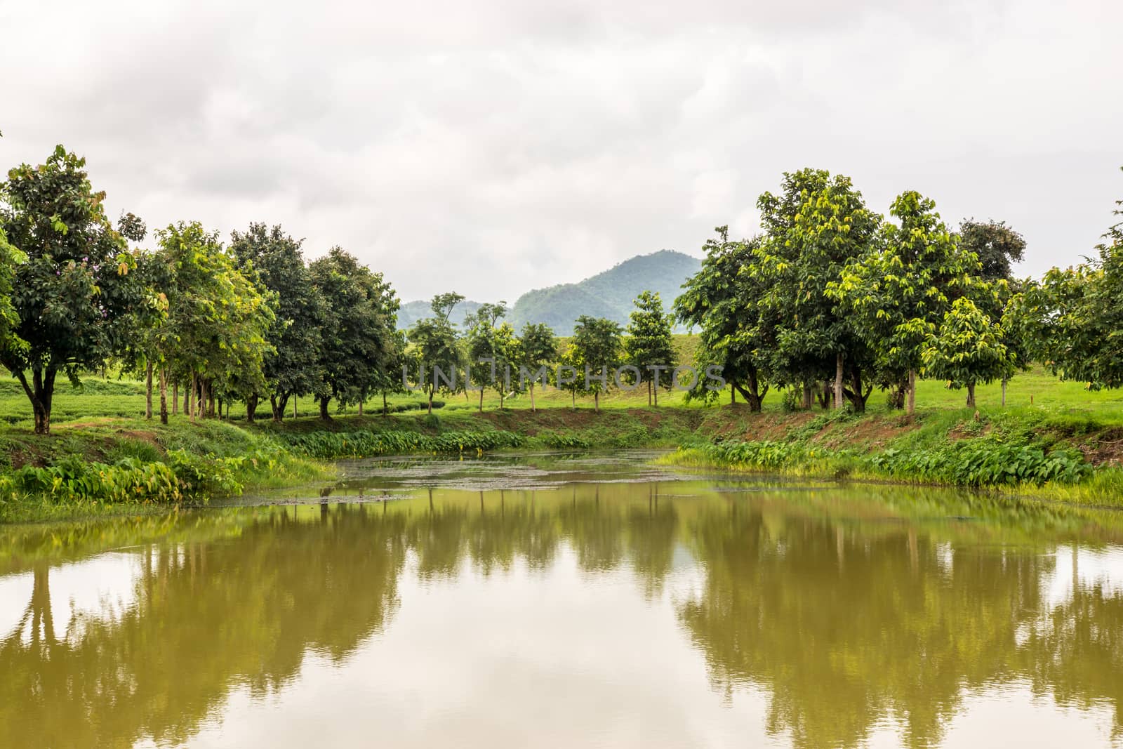 nature landscape at the lake with cloudy sky