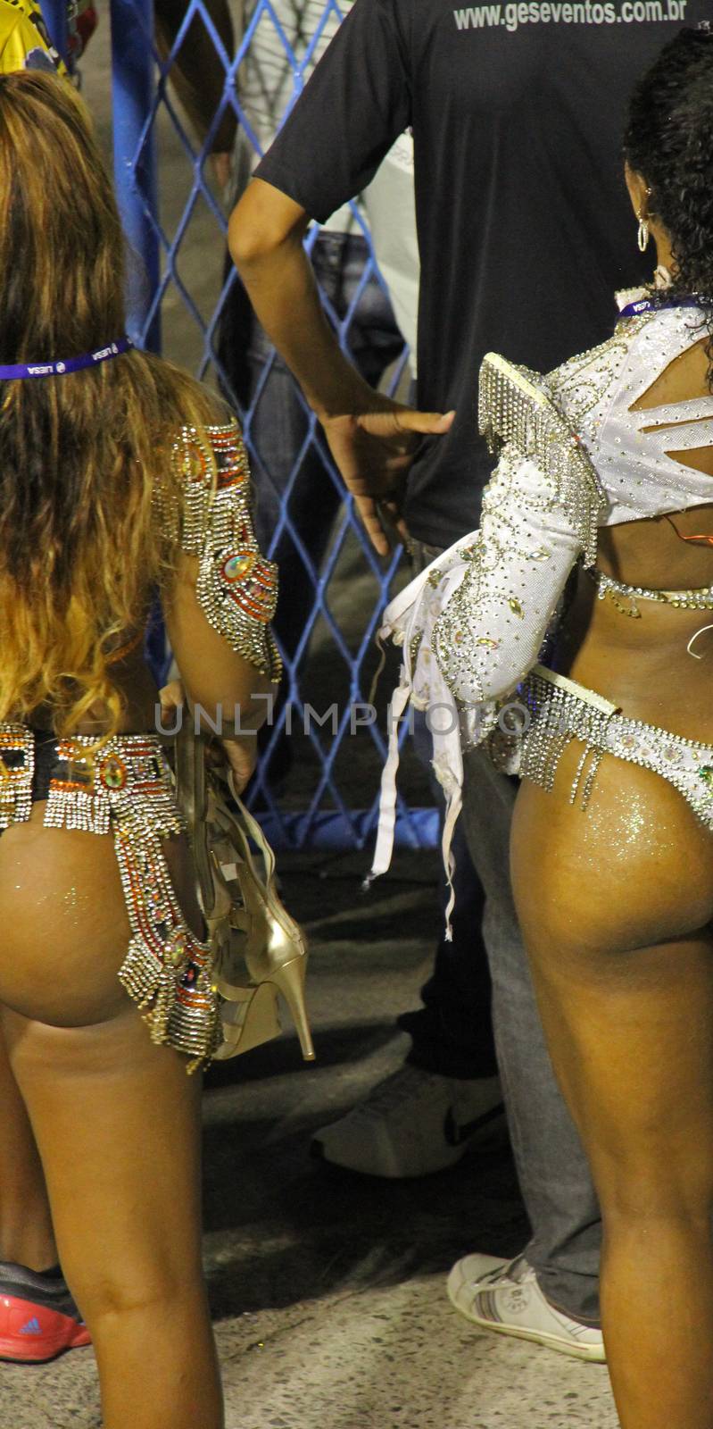Entertainers at a carnaval in Rio de Janeiro, Brazil
03 Mar 2014
No model release
Editorial only