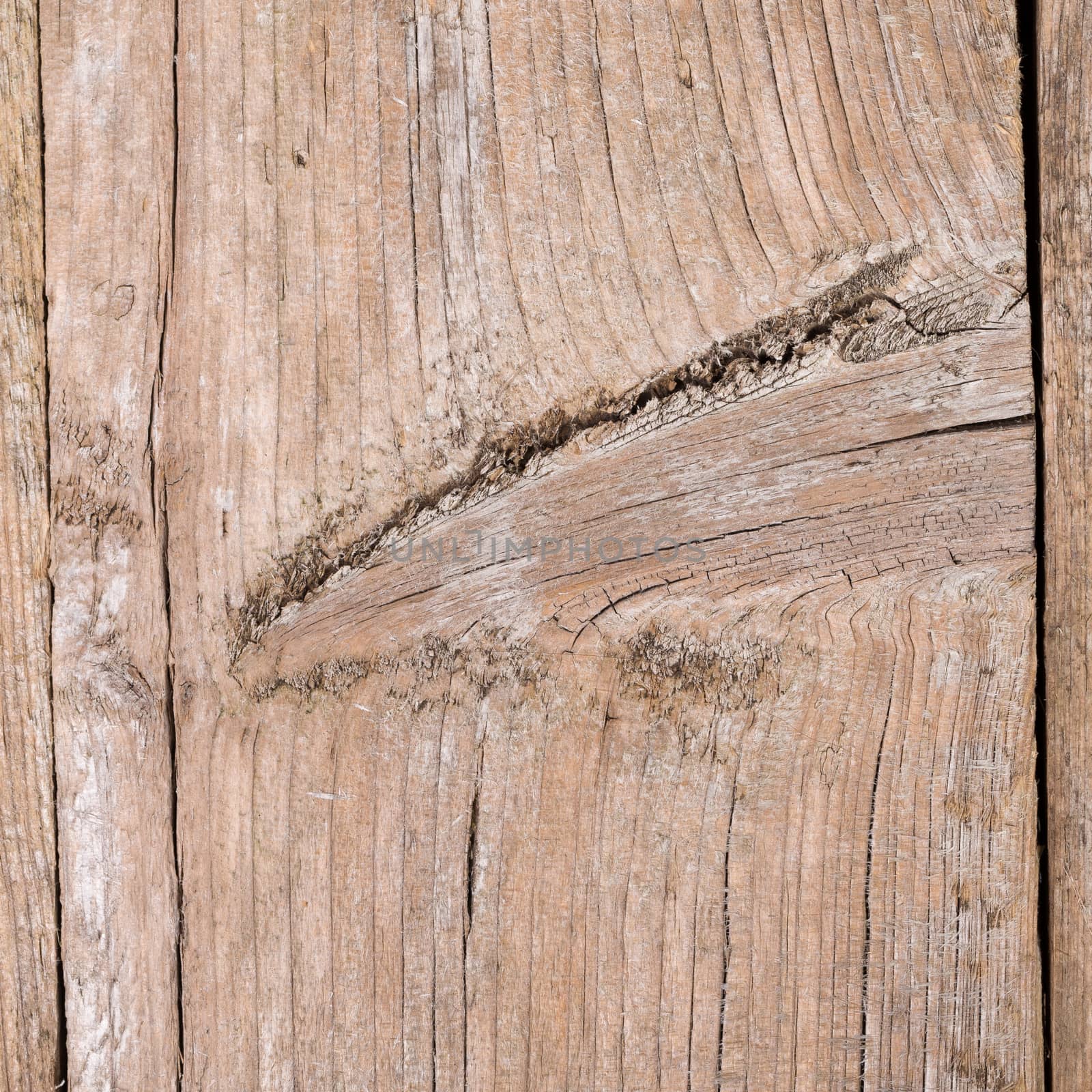 Wooden texture, wood background with dark edges