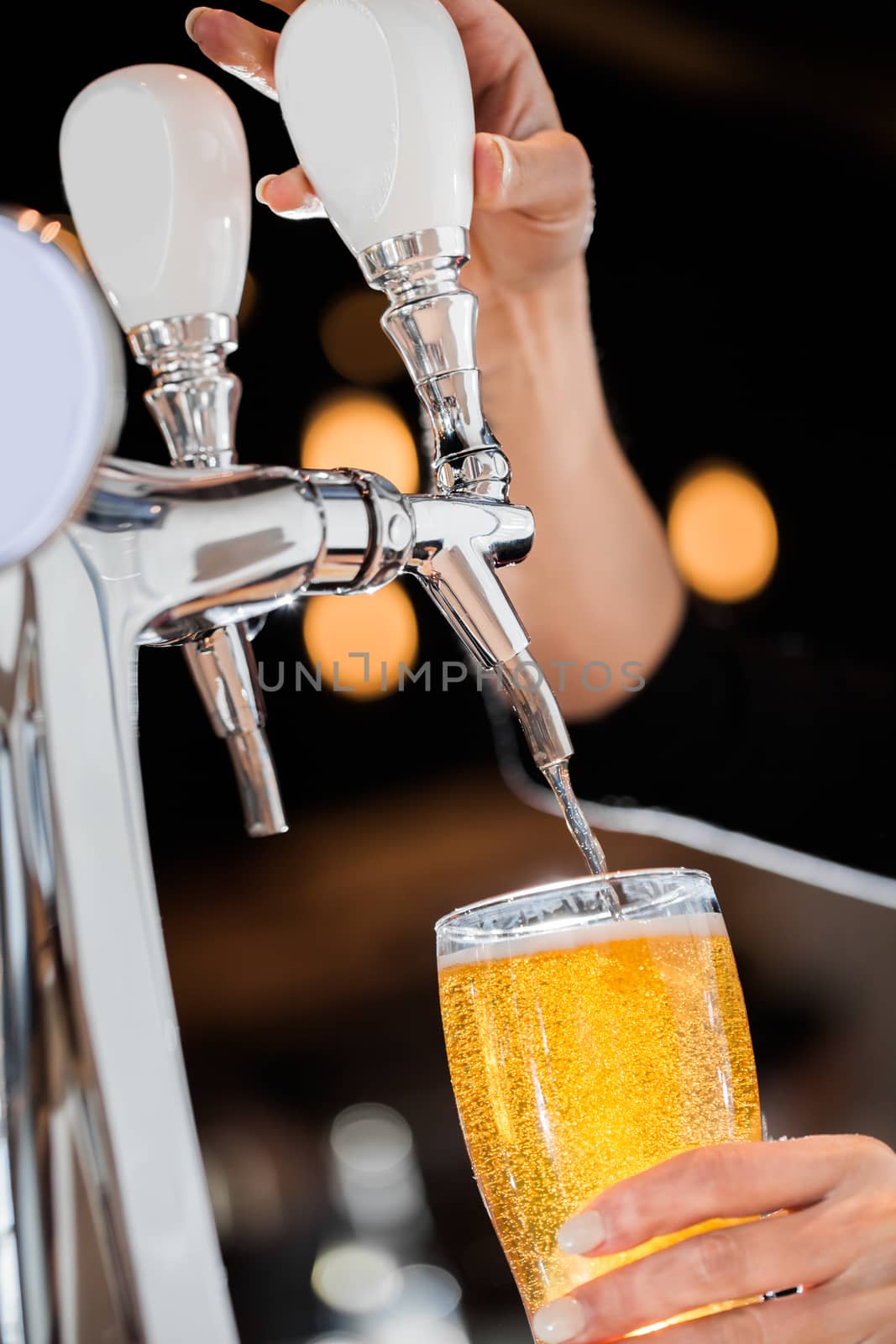 Pouring a Draft Blonde Beer in a Pint Directly from the Tap