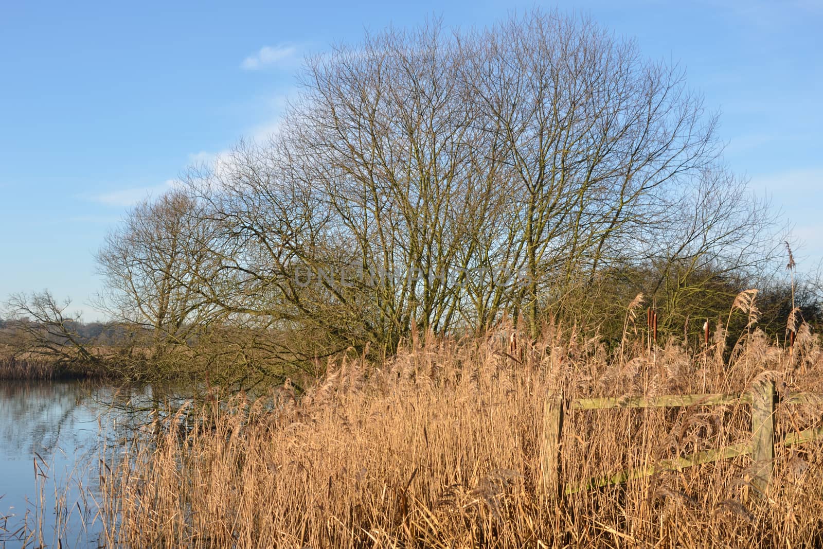 River in winter