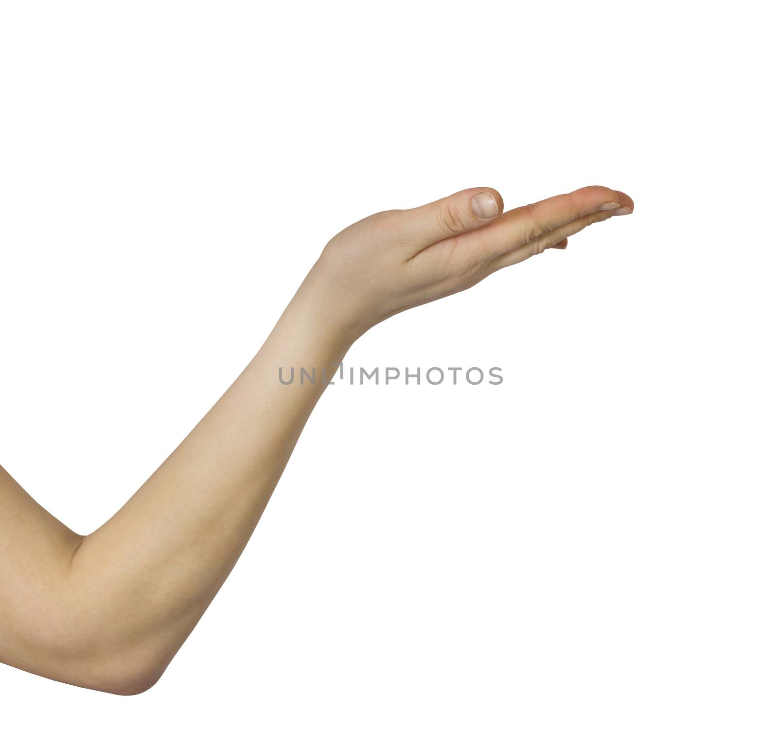 Close-up woman's hand, palm up. Isolated on white background