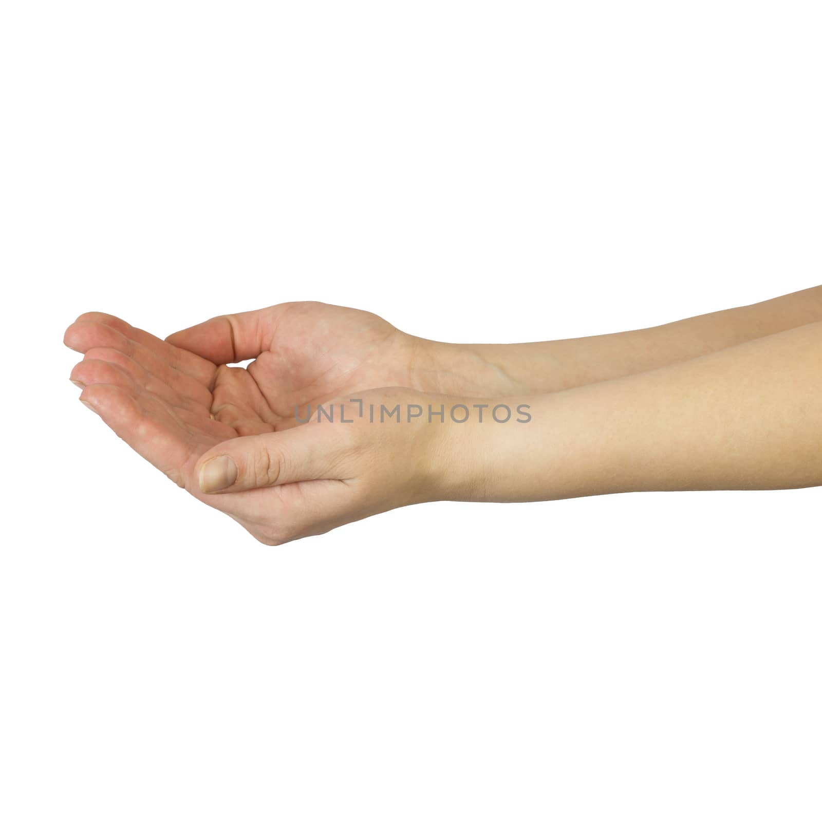 Empty woman hands. Isolated on white background