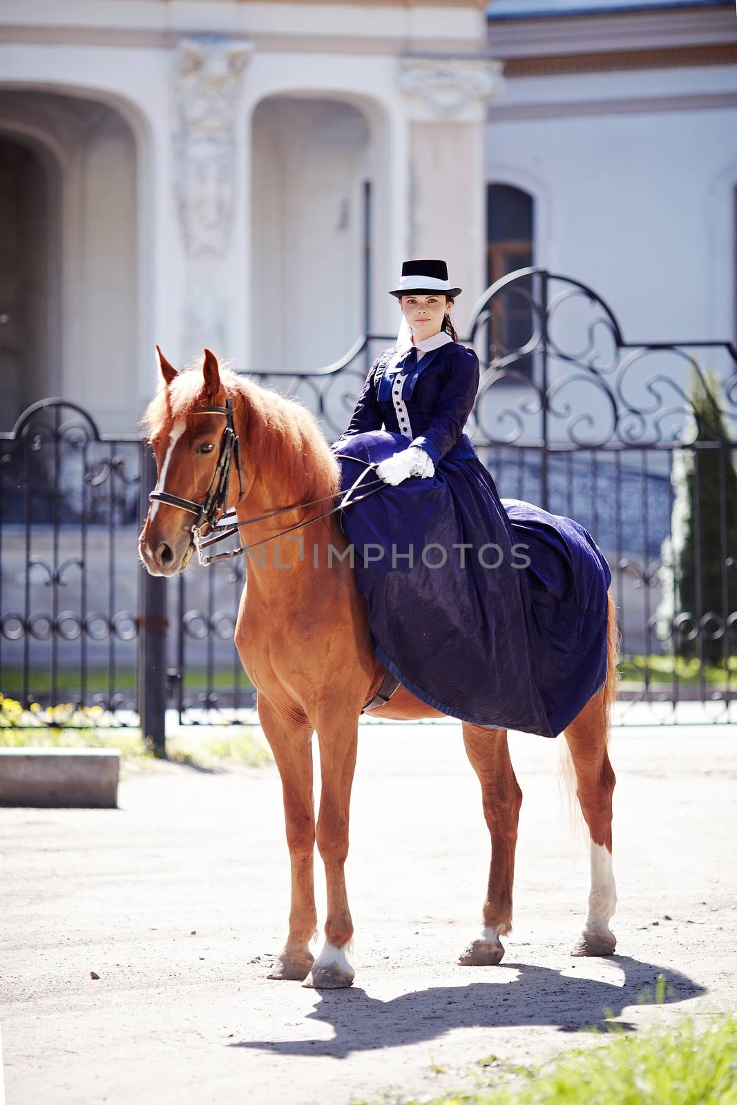 Lady on a  horse. The lady on riding walk. The woman astride a horse. The aristocrat on riding walk.