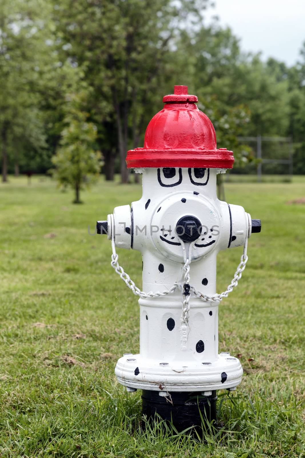 Clever and creative painted fire hydrant. Styled into a dalmation dog with fire hat.