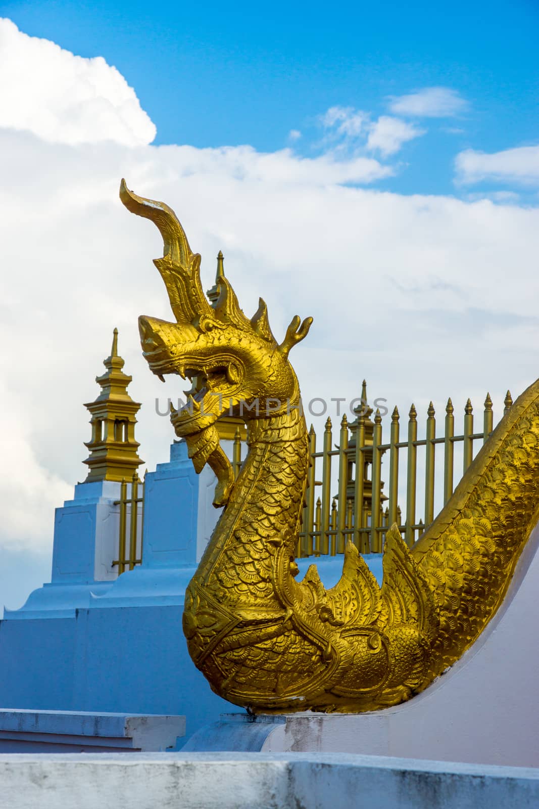 gold naga at Chiangrai temple,Thailand