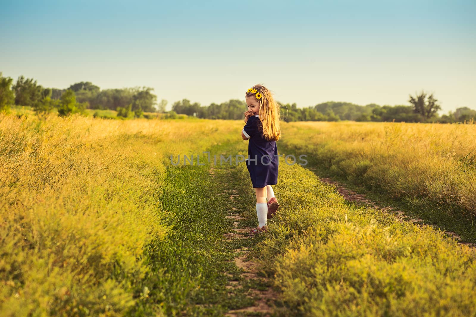 the beautiful little girl in a blue dress laughs, holds hands at the person, looking back, goes to a field by odindia