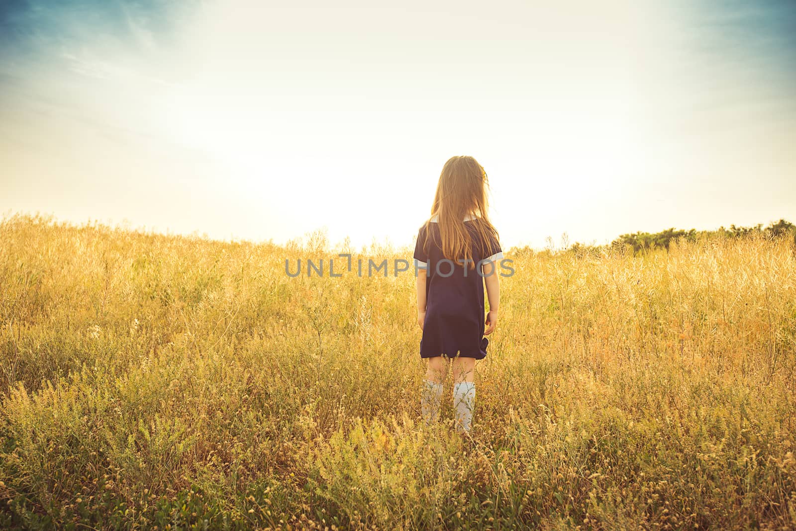 the little girl with long hair in a blue dress costs a back in a field and looks forward by odindia