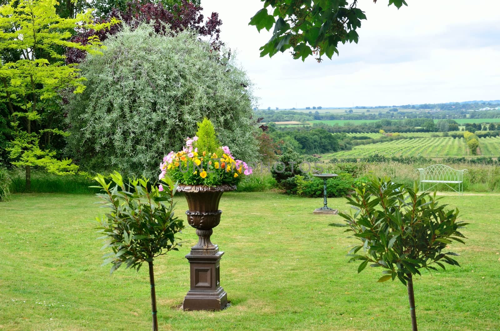 Garden with rural view