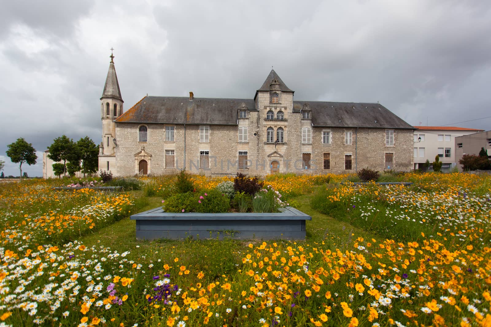 Antique hospital of Saintes , France ,with Flowered meadow in the forefront