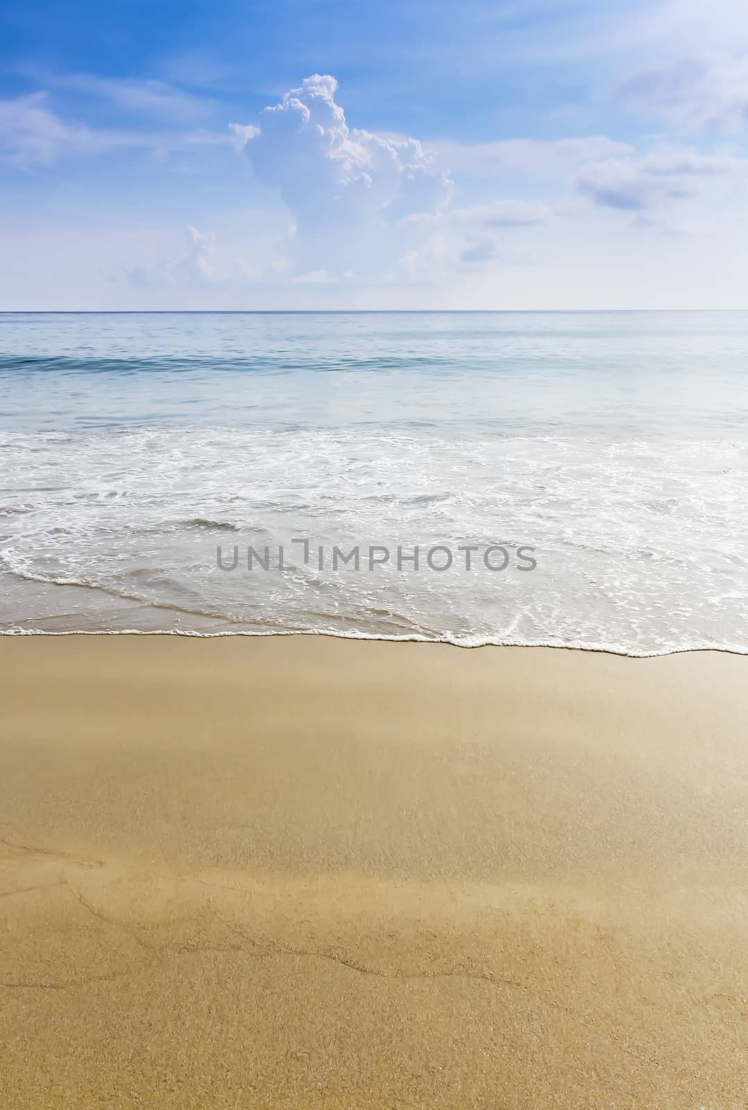 Beach and tropical sea by manusy