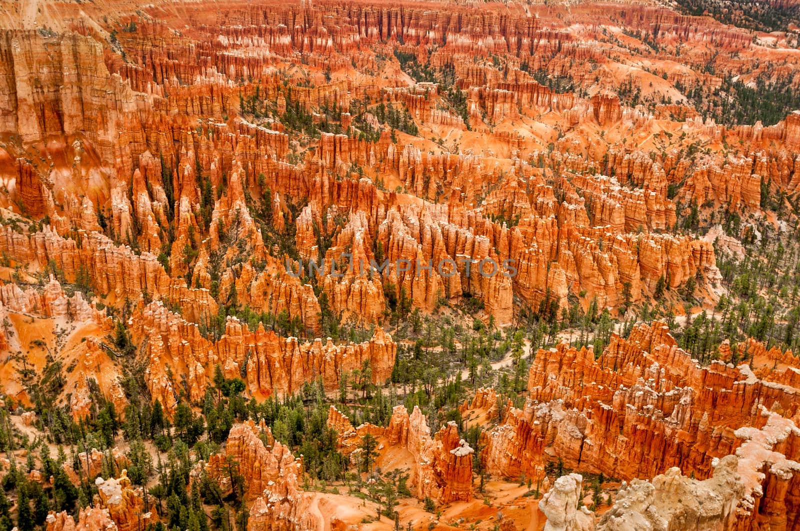 Bryce Canyon amphitheater west USA utah 2013 valley