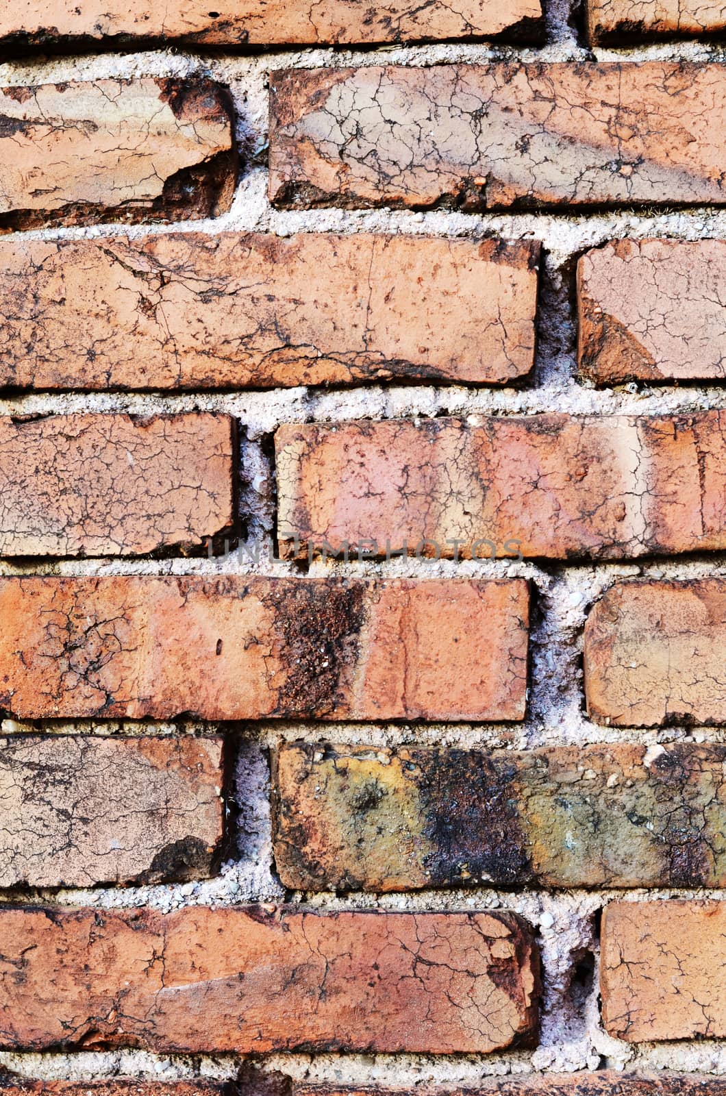 brick wall