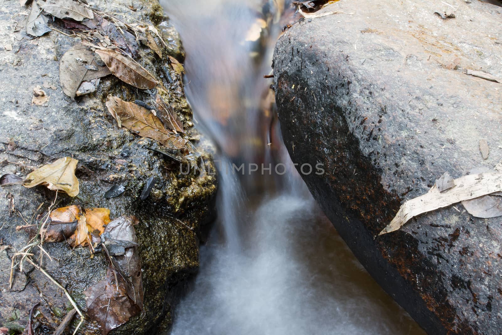 Stream running between stones with leaves on