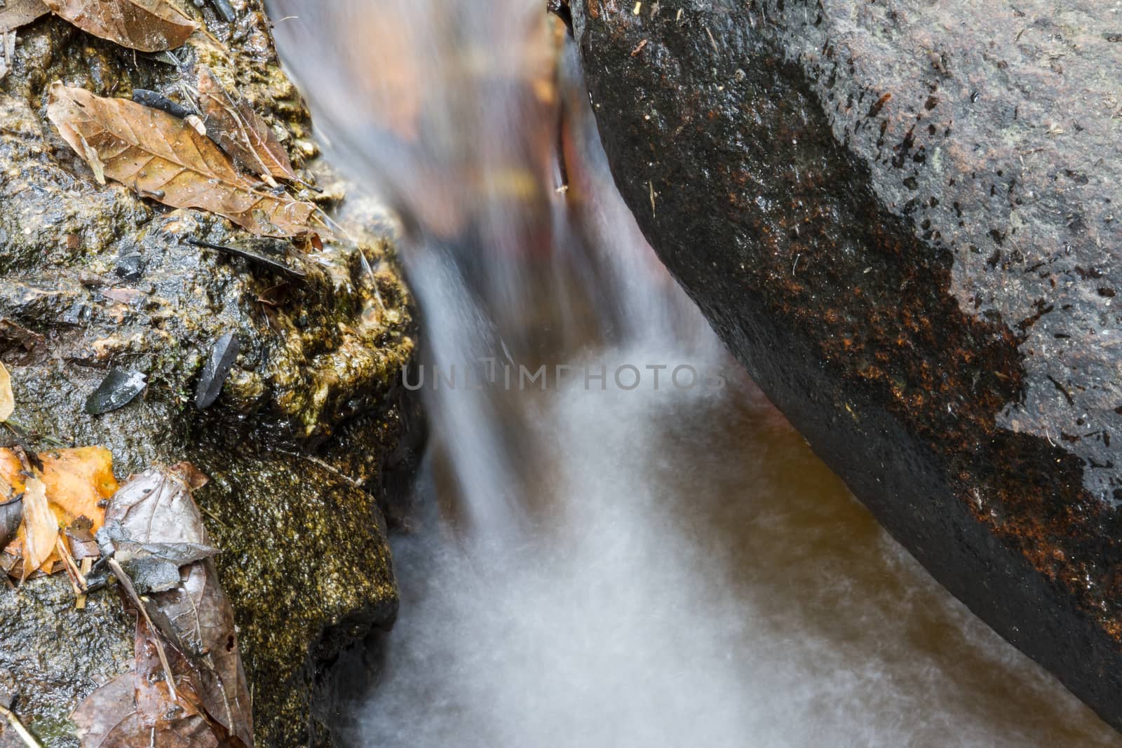 Stream running between stones with leaves on