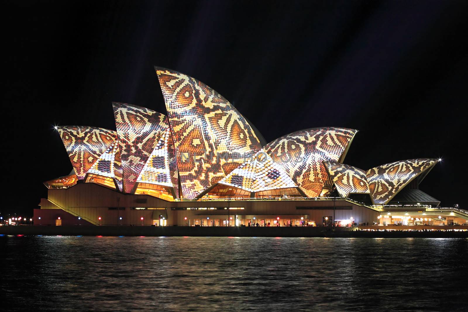 SYDNEY, AUSTRALIA - JUNE 2, 2014;  Vivid Sydney Festival, reptile snakeprint pattern projected onto the  Sydney Opera House i during Vivid  annual festival of light, music and ideas