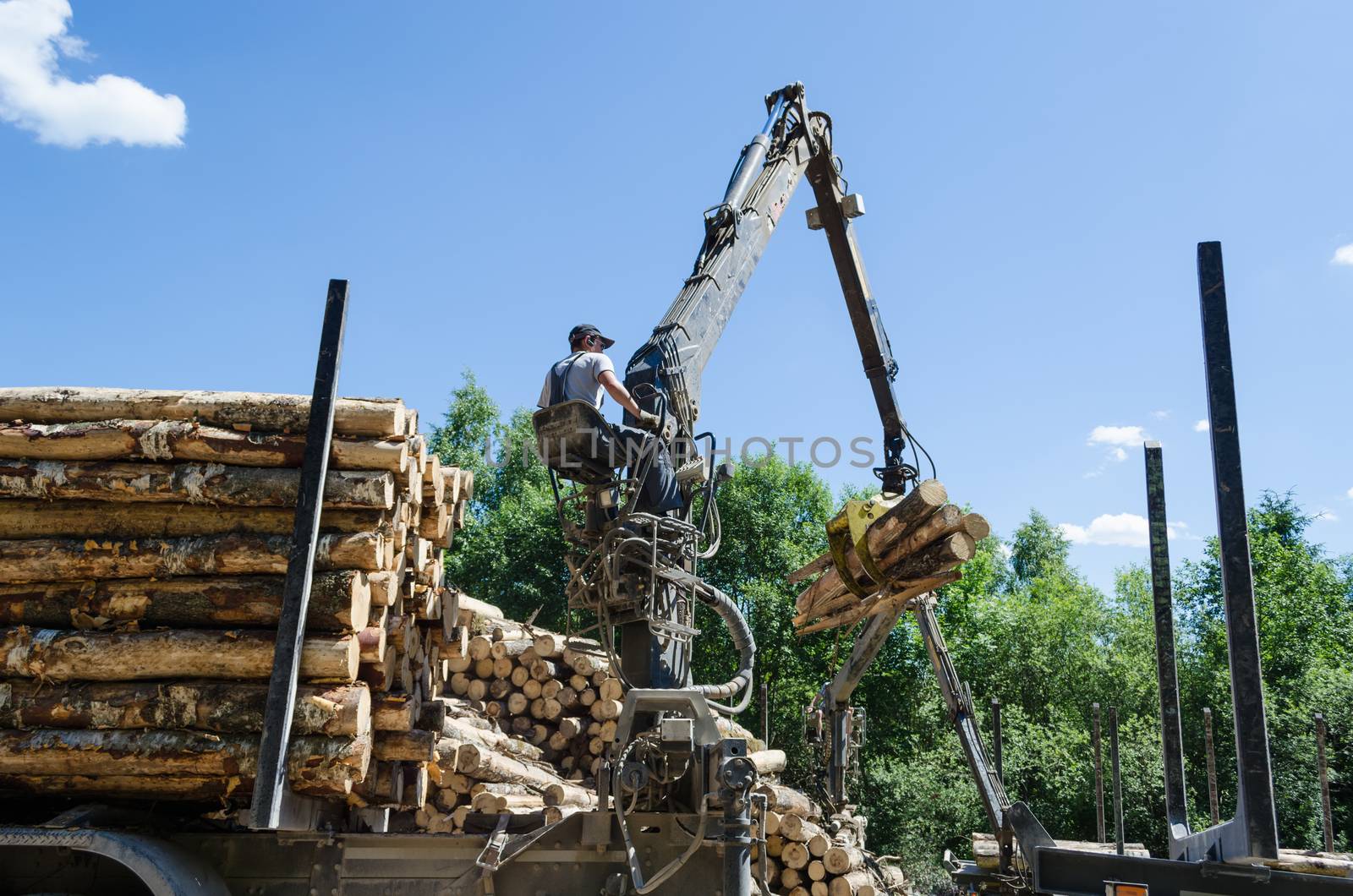 forest worker loading log with crane in trailer by sauletas