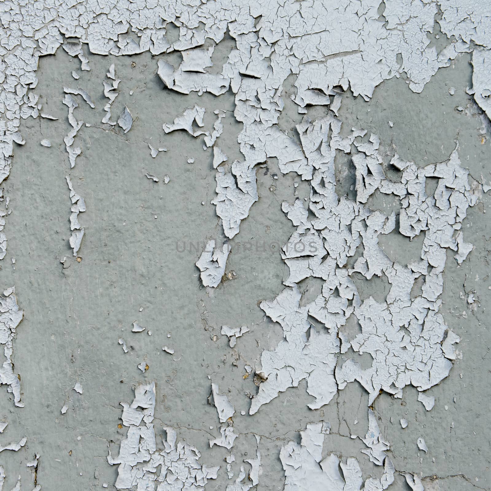 old cracked paint on the wall  by opasstudio