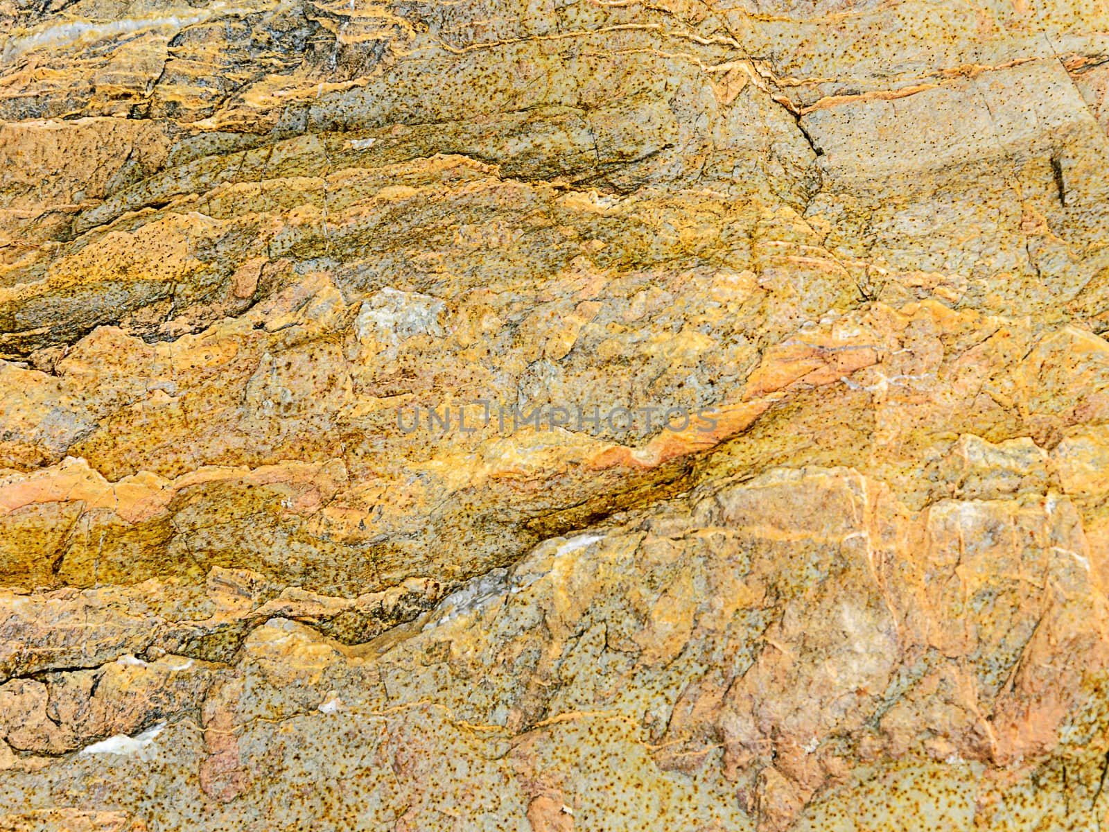 Stone Background of granite igneous rock