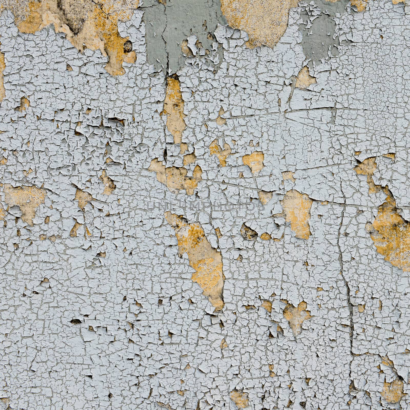 old cracked paint on the wall  by opasstudio