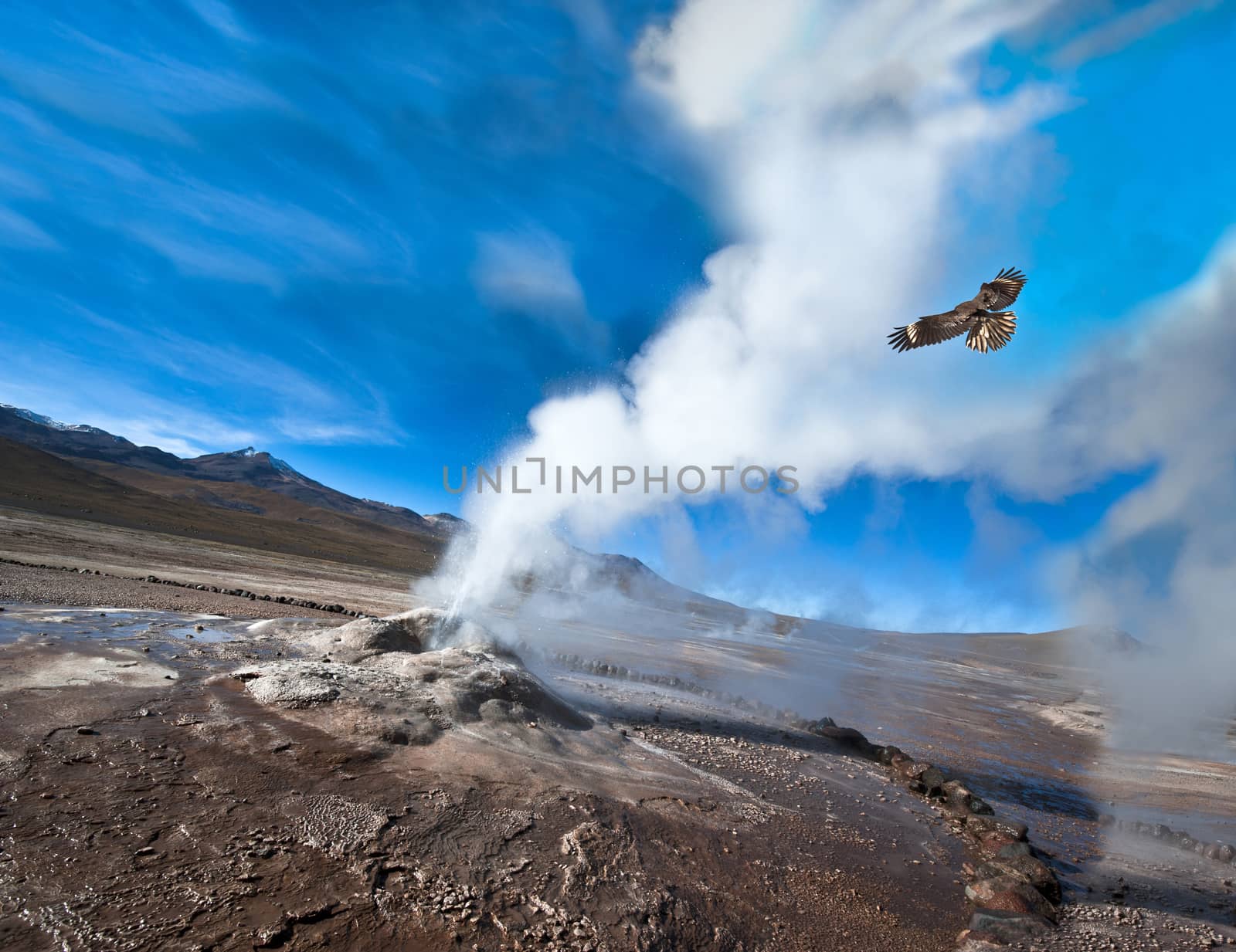 Chile. Valley of Geysers in the Atacama Desert