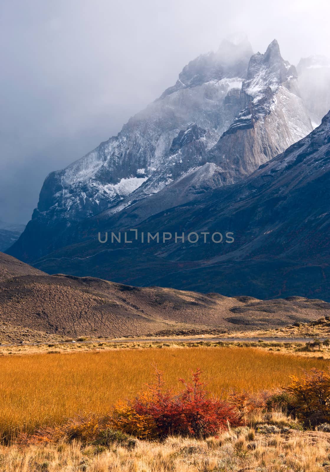 Autumn in Patagonia. Torres del Paine National Park Chile by xura