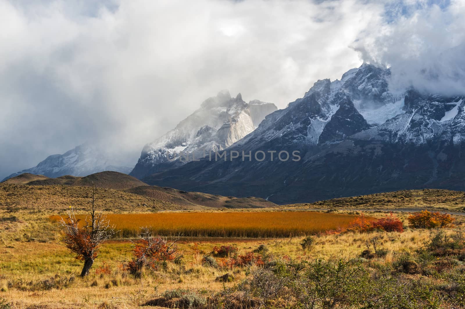 Autumn in Patagonia. The Torres del Paine National Park in the south of Chile is one of the most beautiful mountain ranges in the world.