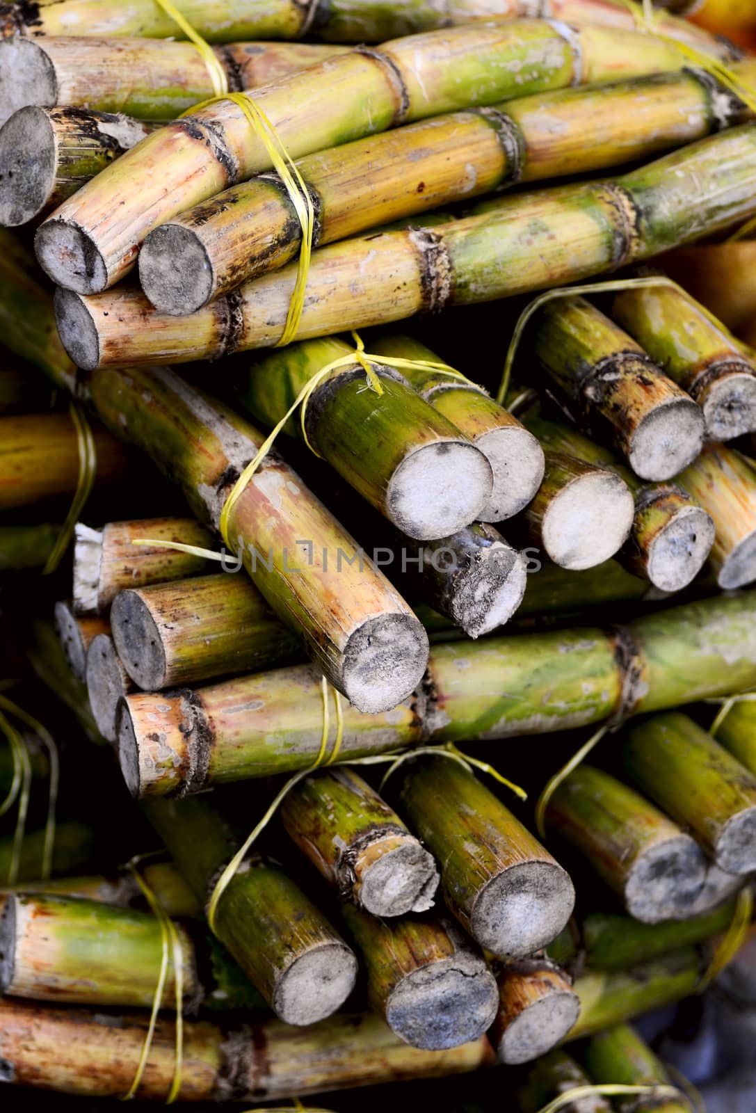 close up photo of a stack of sugar cane sticks  by xura