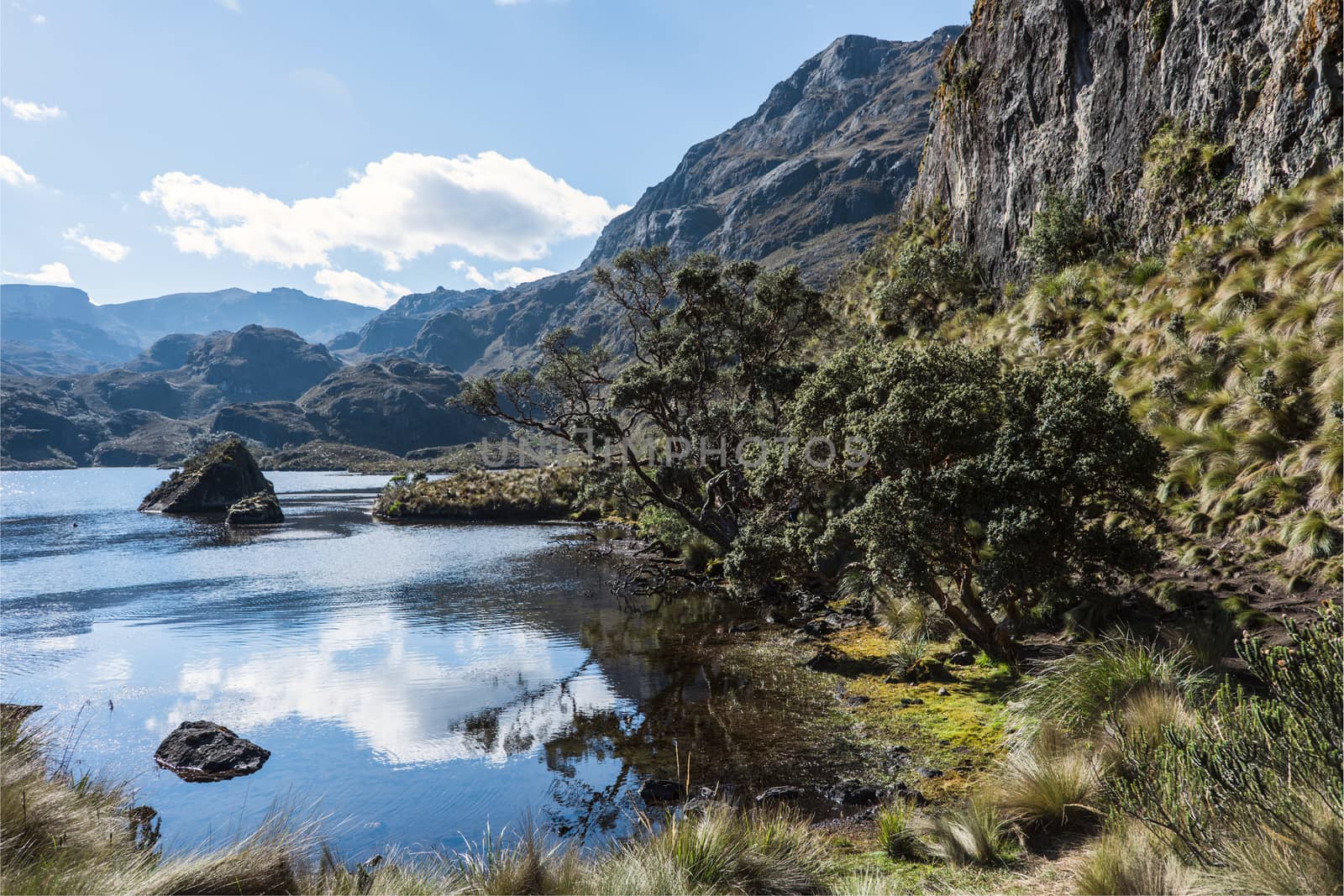 Cajas National Park, Andean Highlands, Ecuador by xura