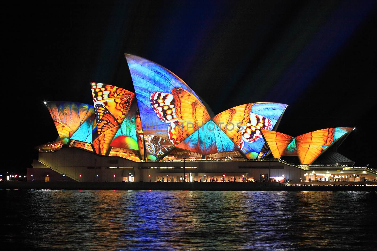 SYDNEY, AUSTRALIA - JUNE 2, 2014;  Vivid Sydney Festival, beautiful butterfly imagery projected onto the  Sydney Opera House  during Vivid  annual festival of light, music and ideas