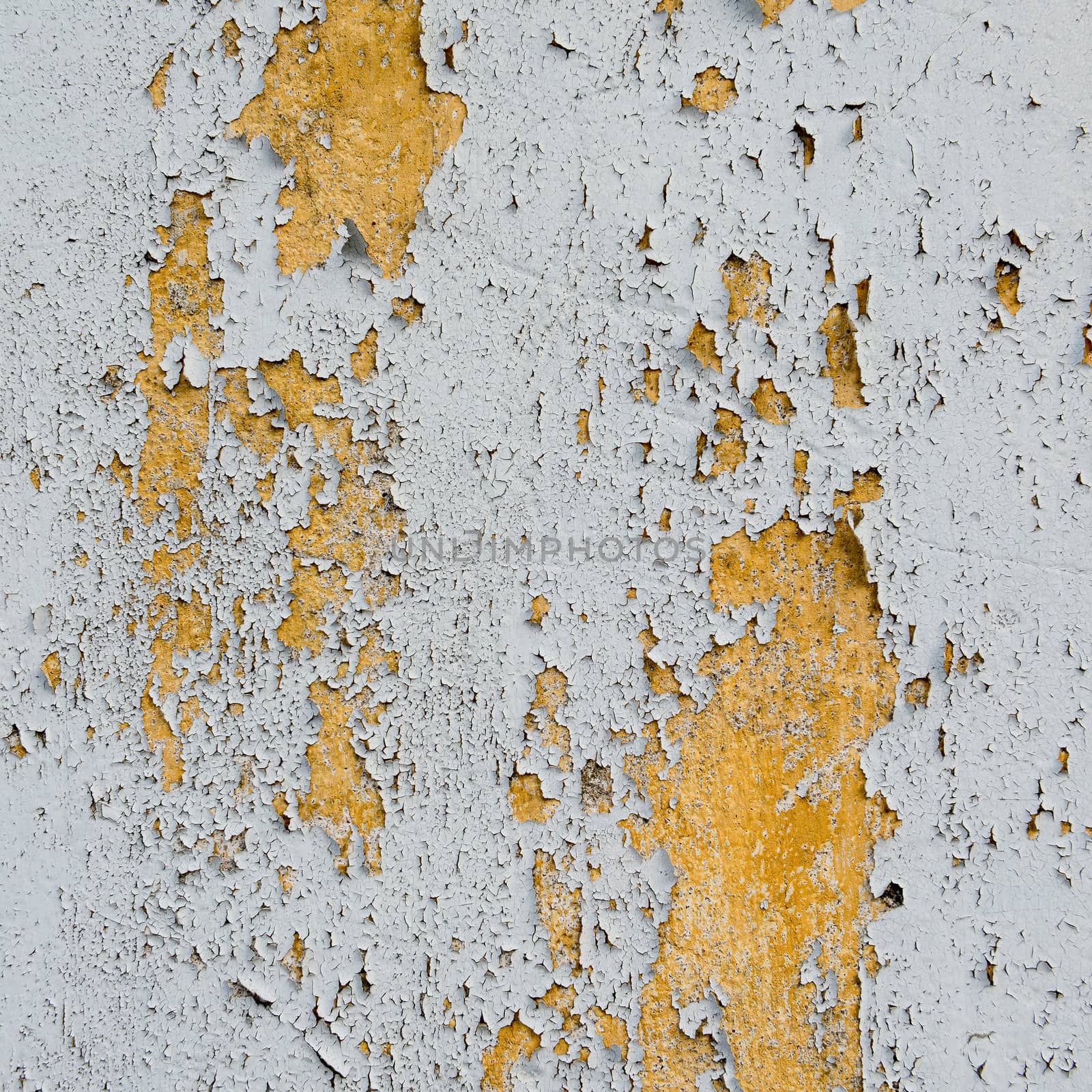 old cracked paint on the wall  by opasstudio