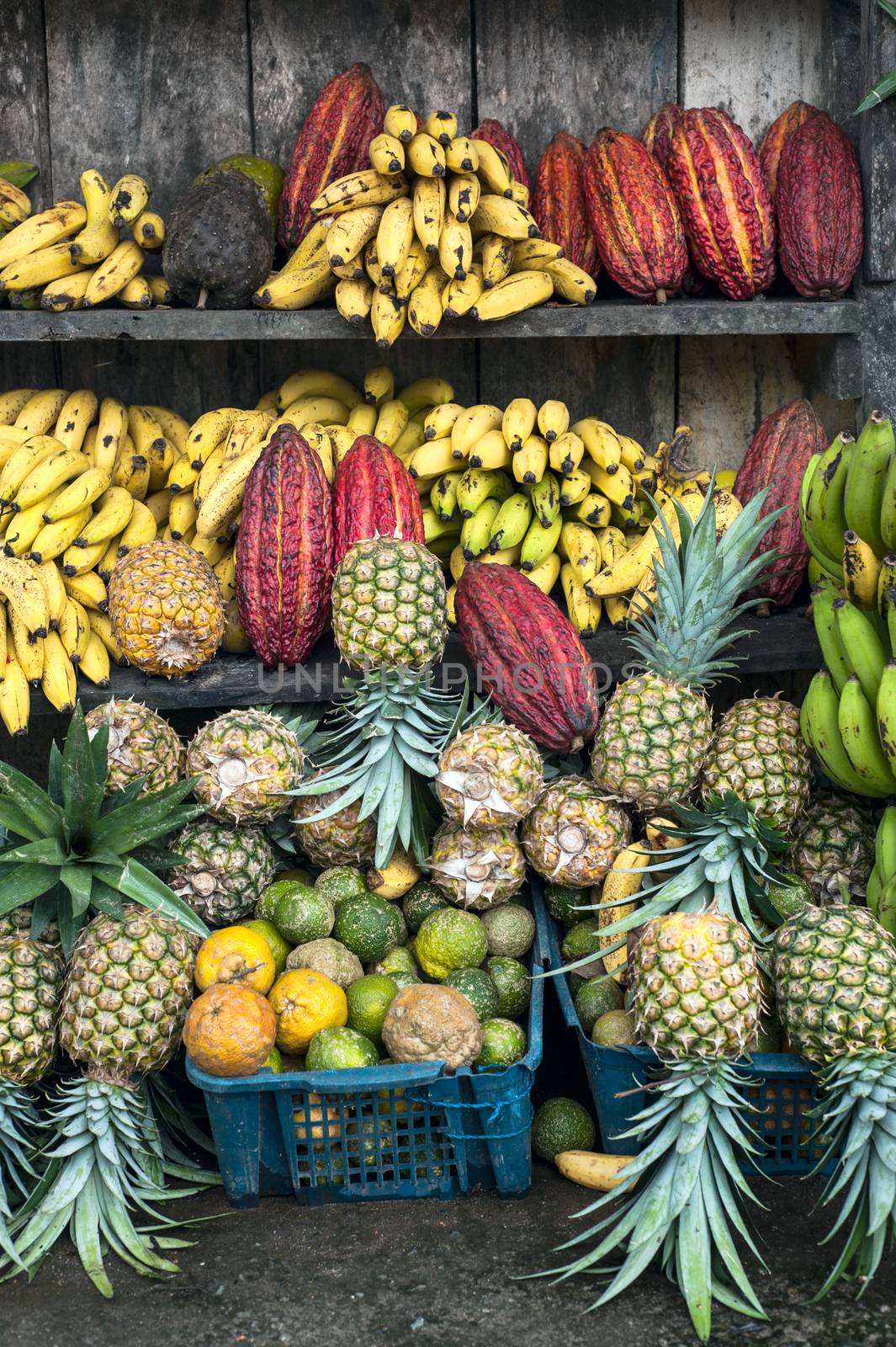 Latin America Fruit street market, Ecuador by xura