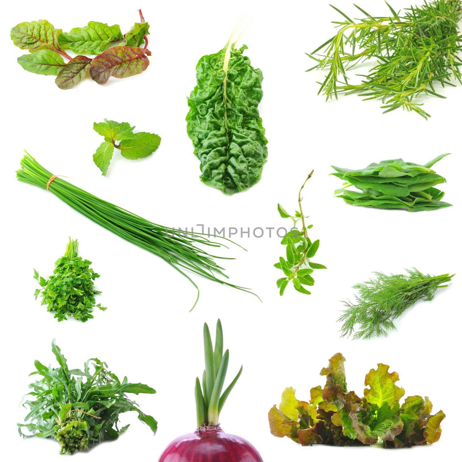 Mix organic salad leaves and salad onion springs