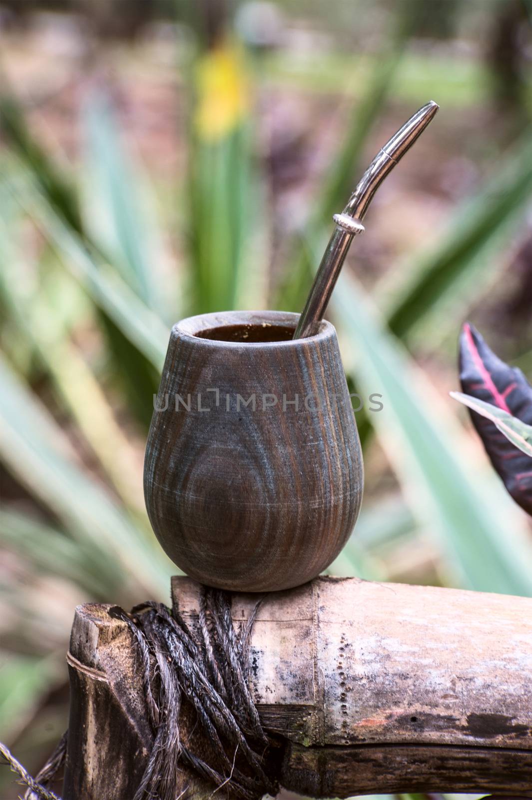 Close up of calabash cup with spill of yerba mate tea and straw. Yerba mate is a very typical drink in Argentina, Uruguay the South of Brazil and Paraguay.