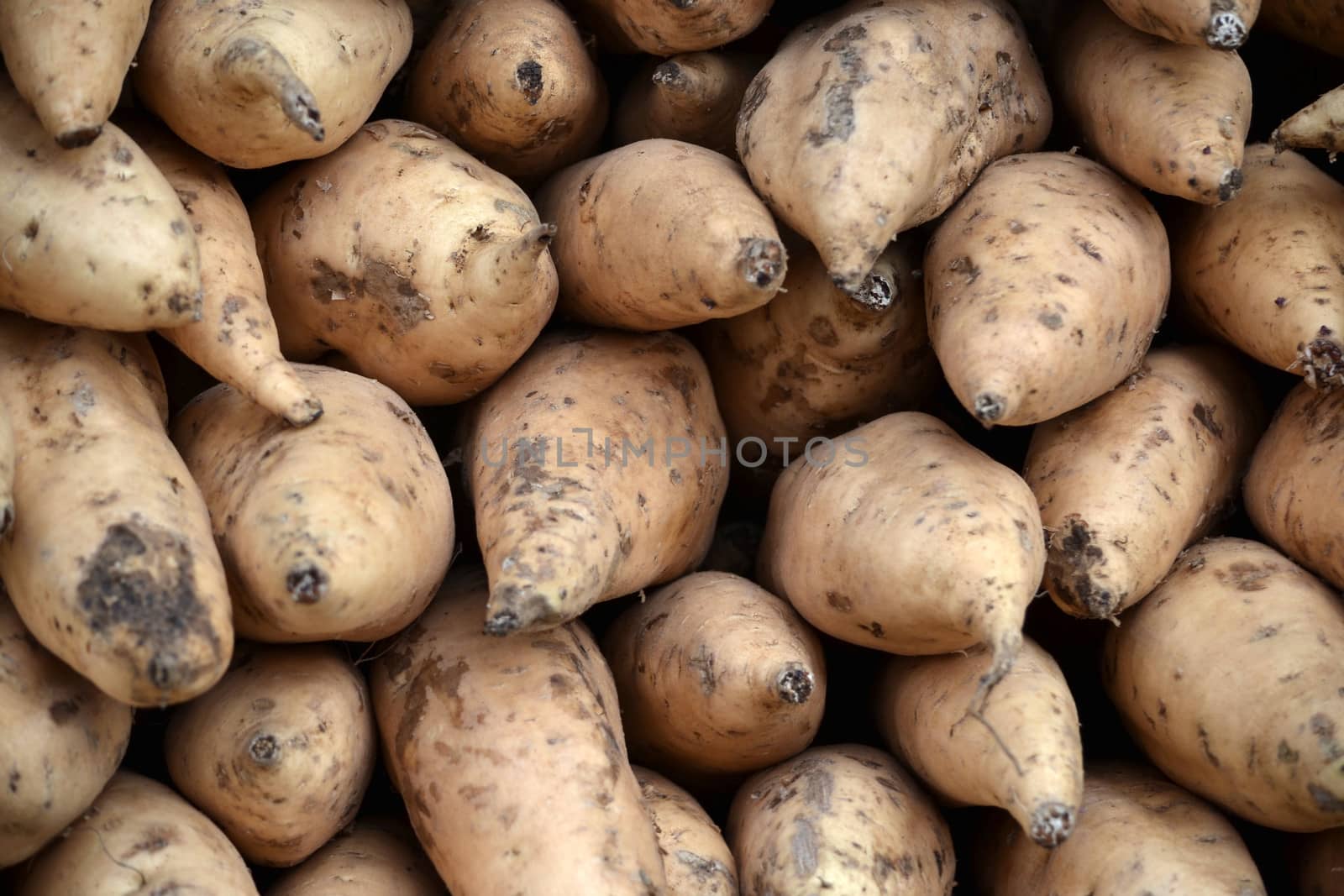 sweet potatoes that ready to cook or grilled