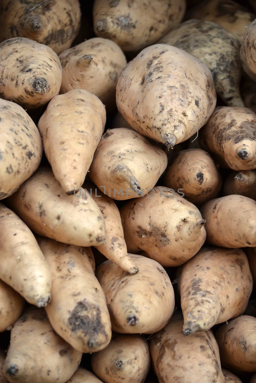 sweet potatoes that ready to cook or grilled