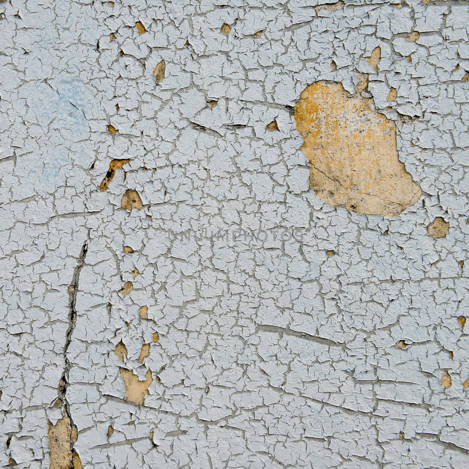 old cracked paint on the wall  by opasstudio