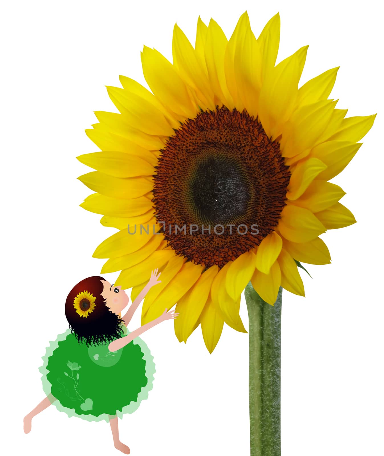 Little girl and sunflower by grace21
