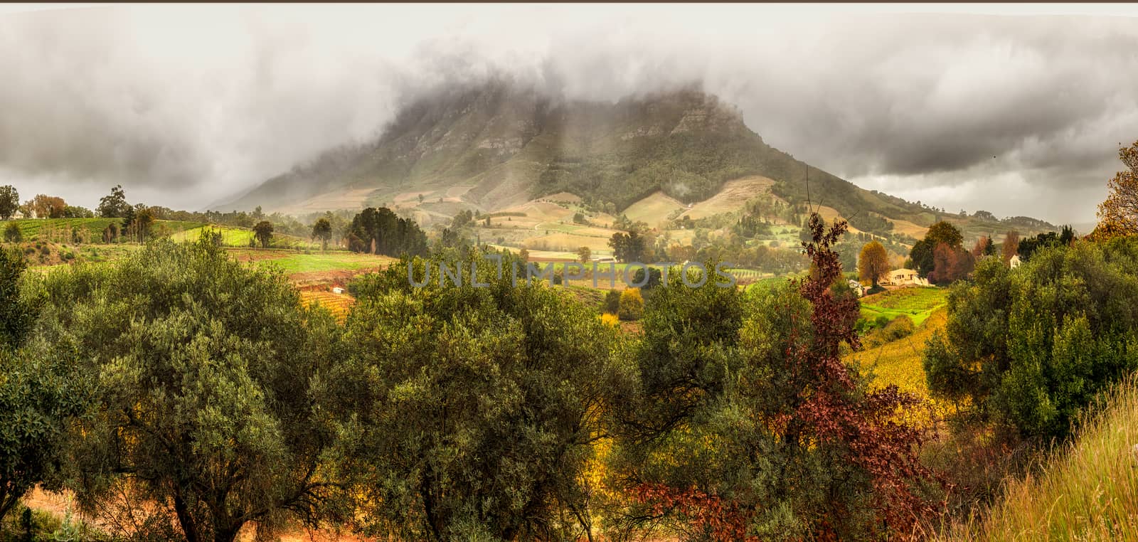 Western Cape Landscapes by derejeb