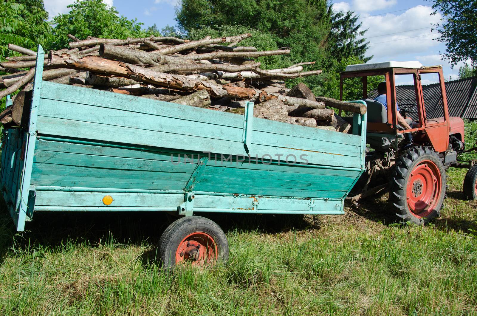 Tractor with trailer full loaded with tree wood firewood logs drive near forest.