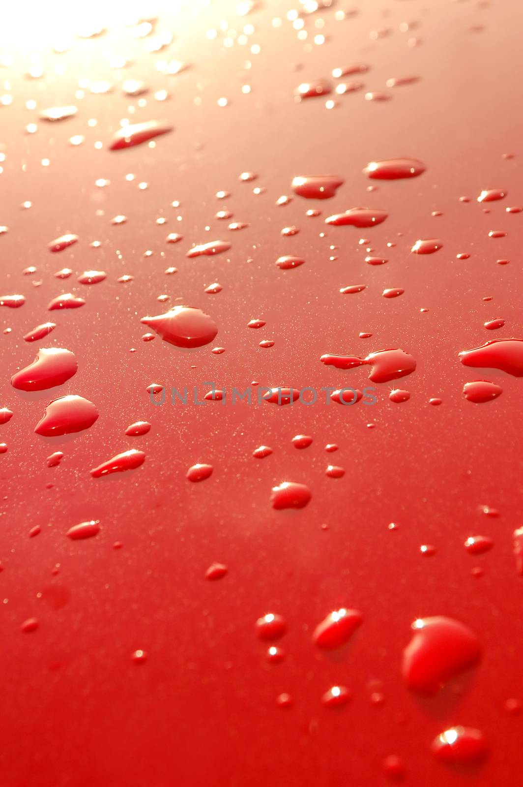 raindrops on red by nelsonart