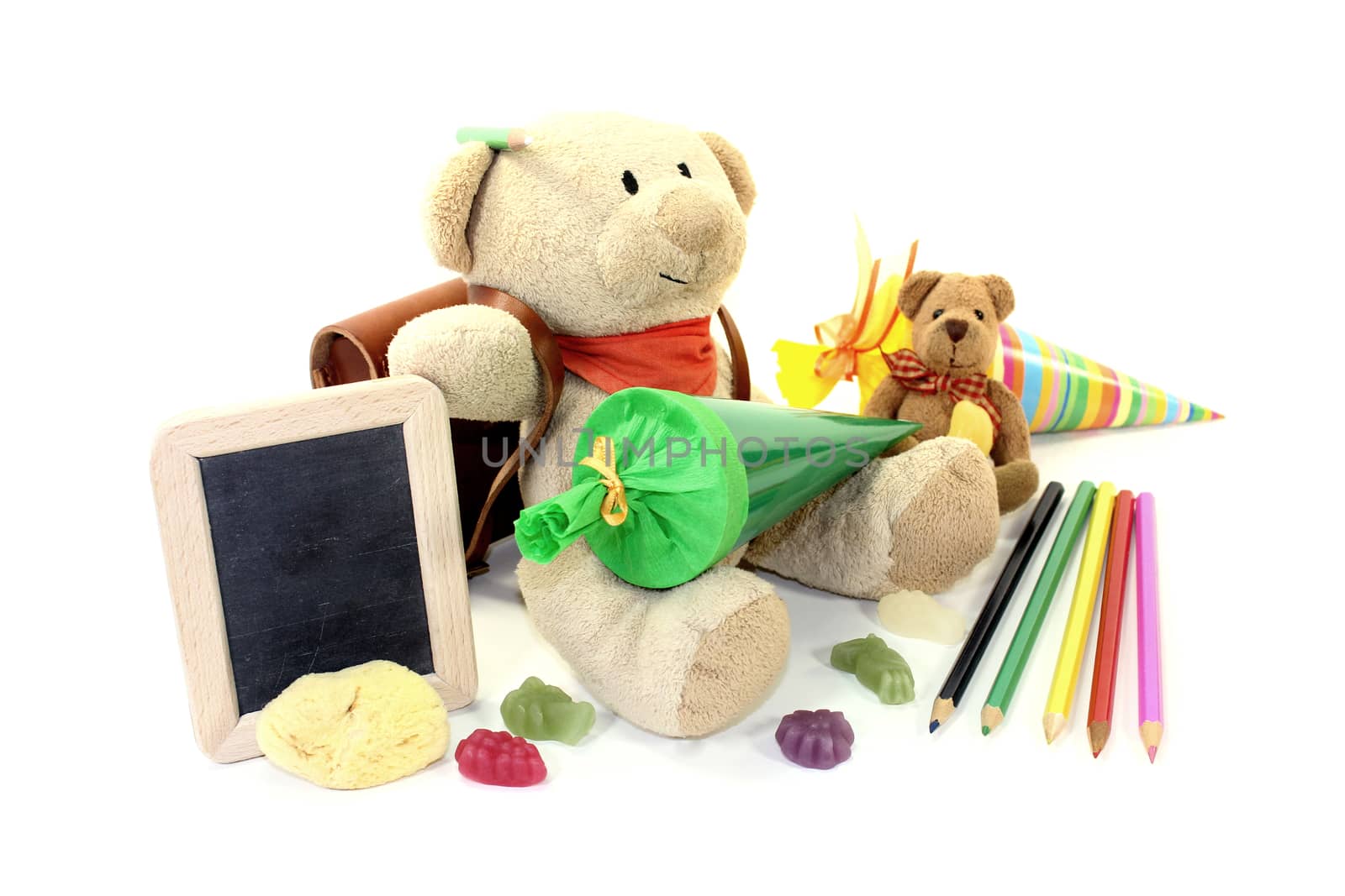 Teddy bear with school bag, wallet and table on a light background