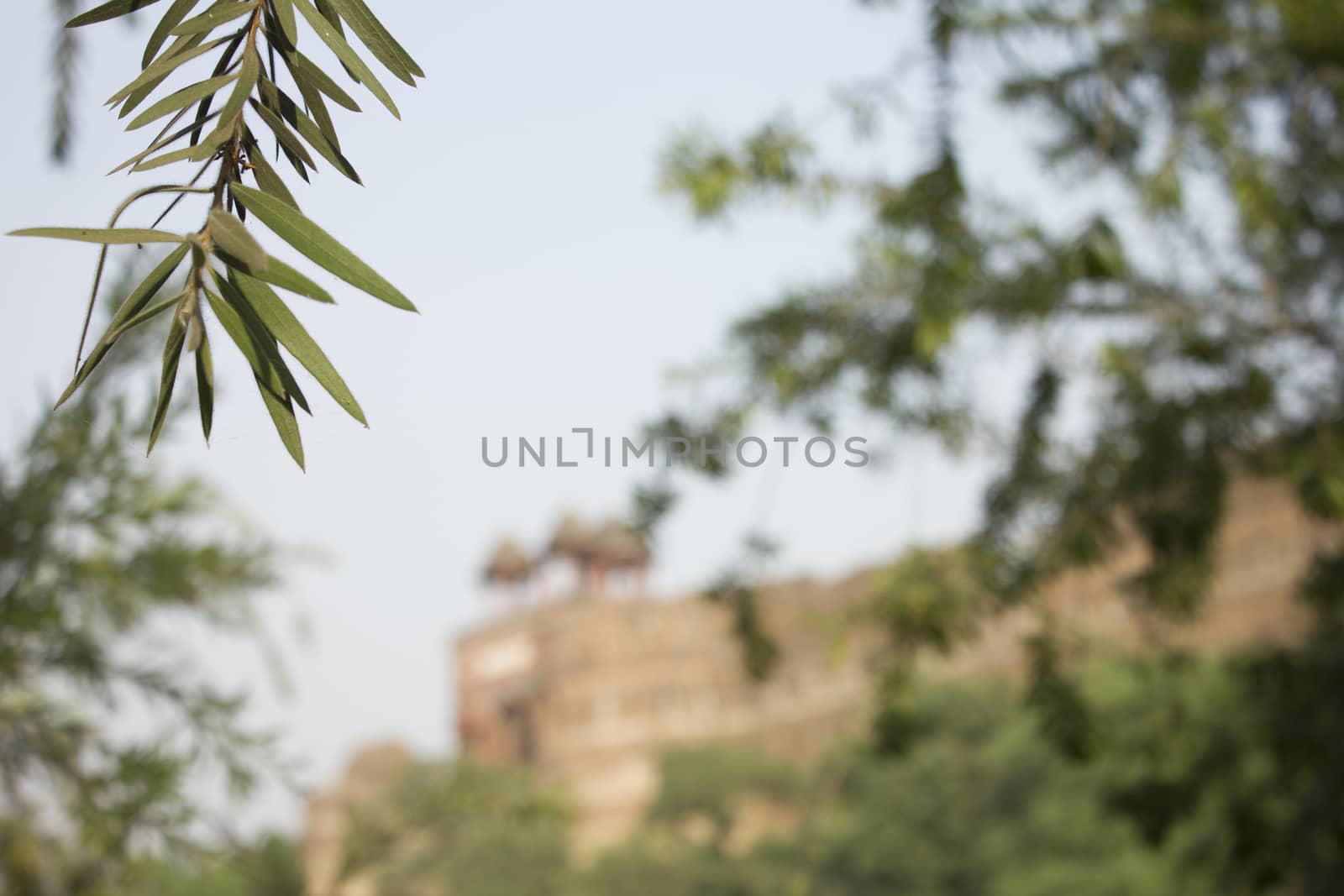 defocus old fort by motionkarma