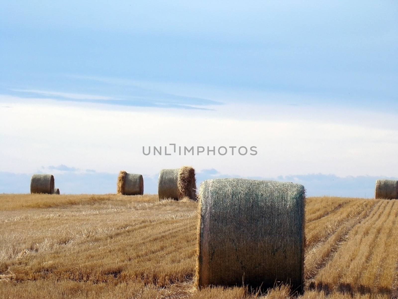 landscape rural