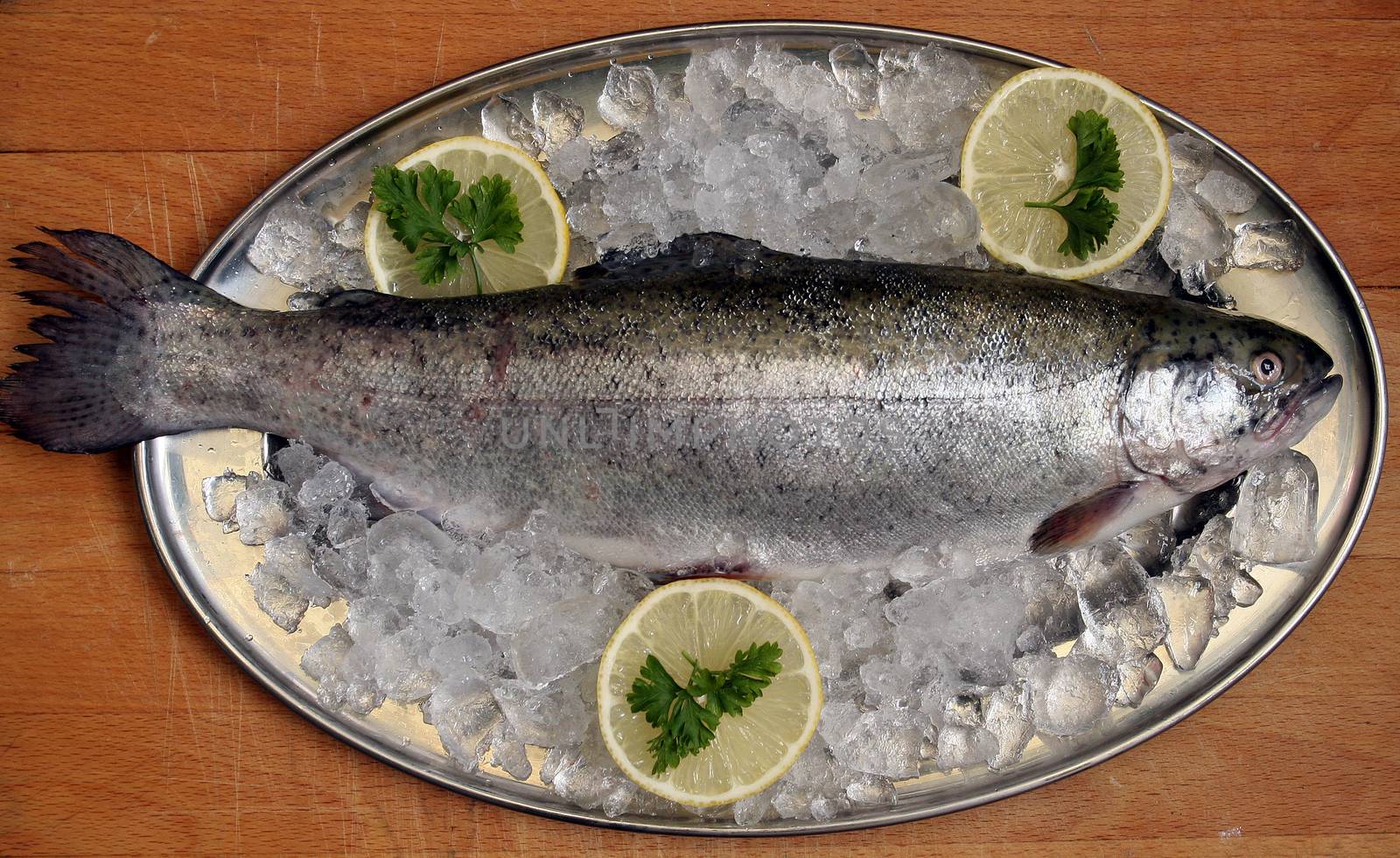 Raw trout lies on a dish with slices of lemon.