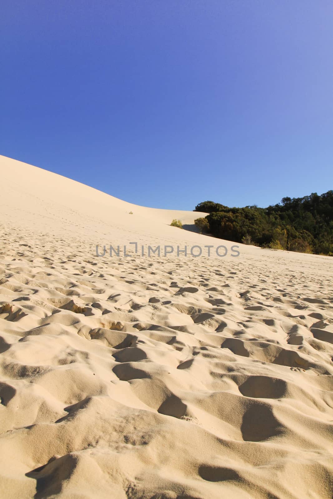 tangalooma sand hill at Tangalooma island, Australia