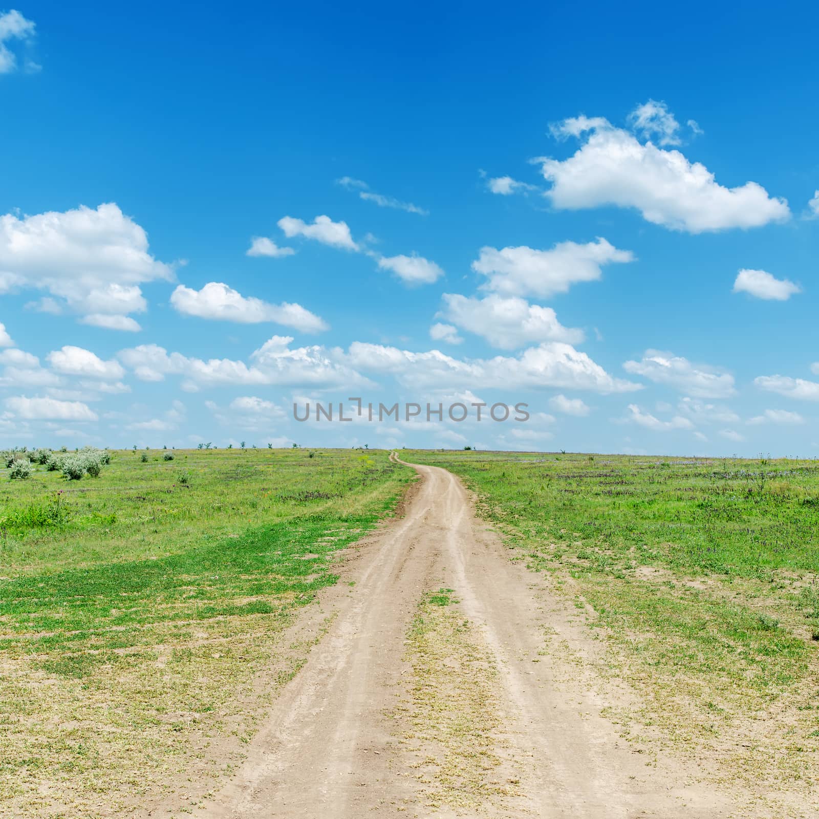 road on hill in green grass and blue sky by mycola