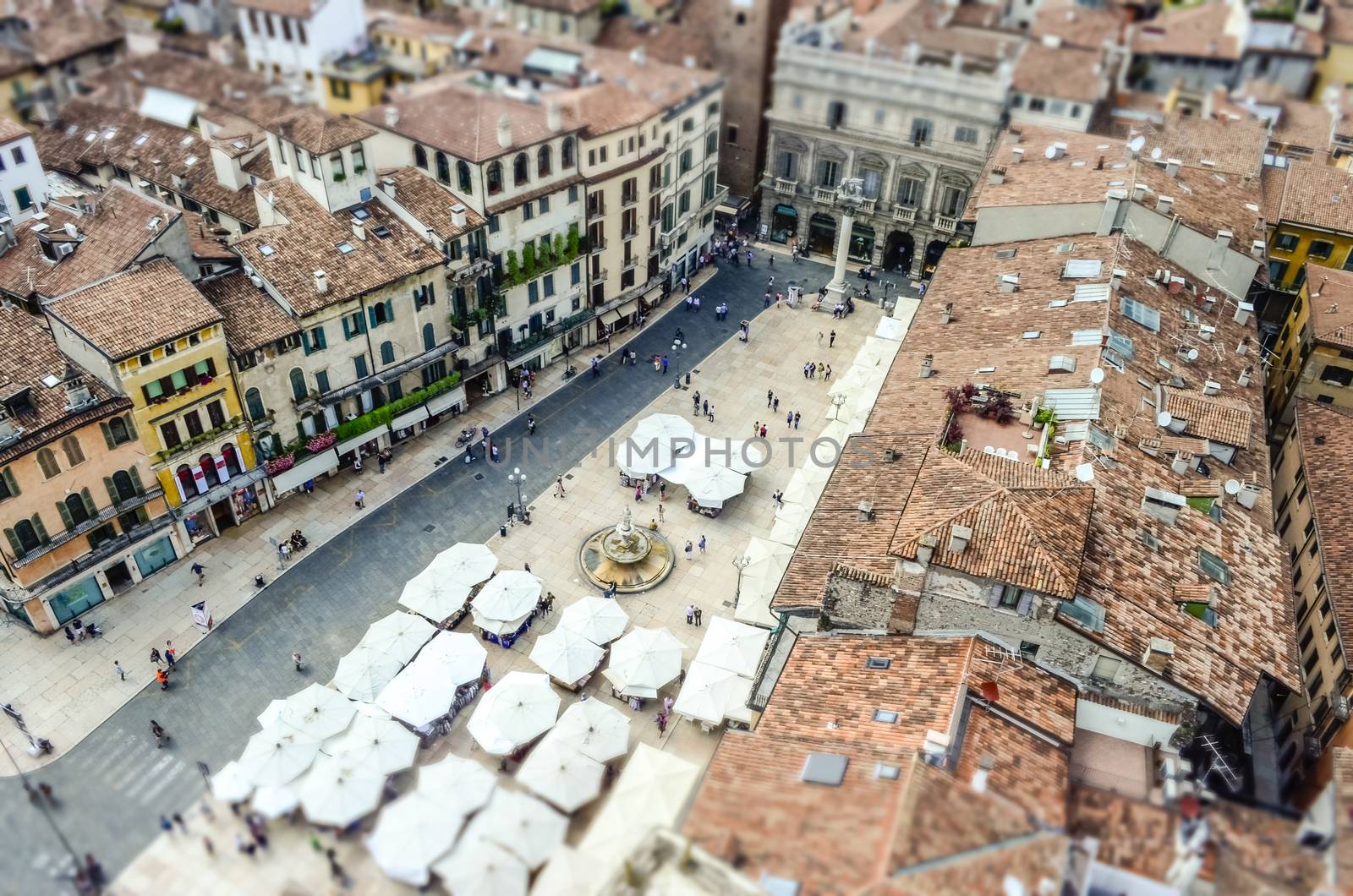 View over Piazza delle Erbe (Market's square), Verona by marcorubino