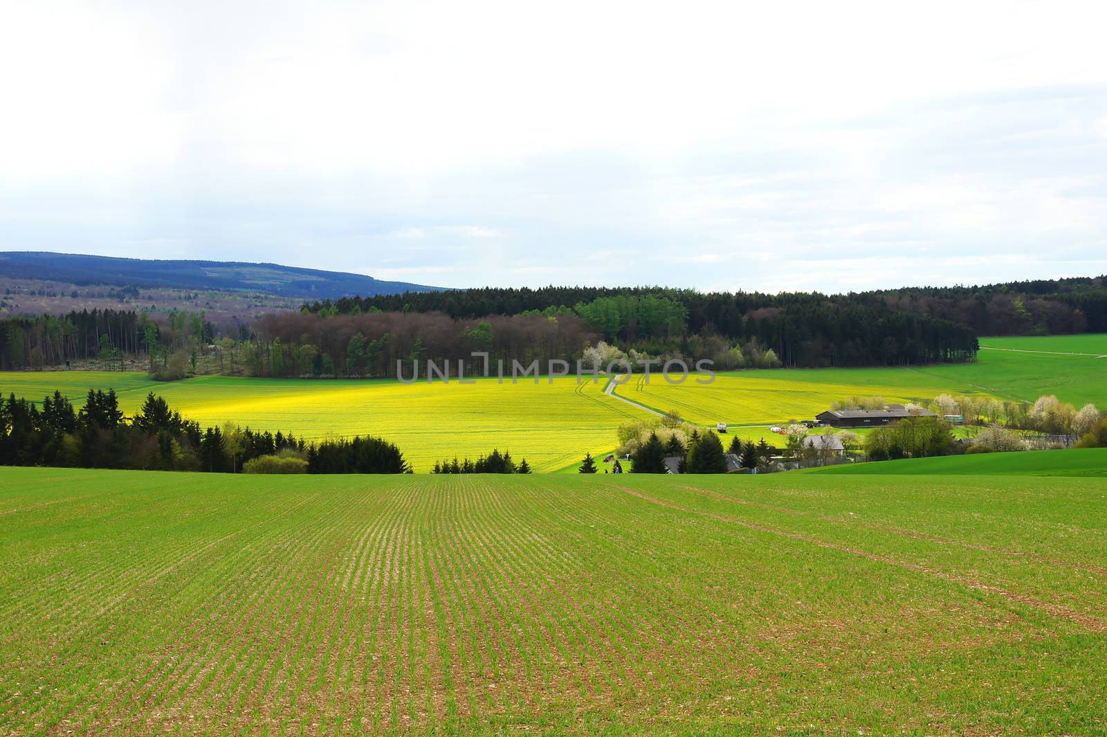 Wald und Felder am nördlichen Idarwald