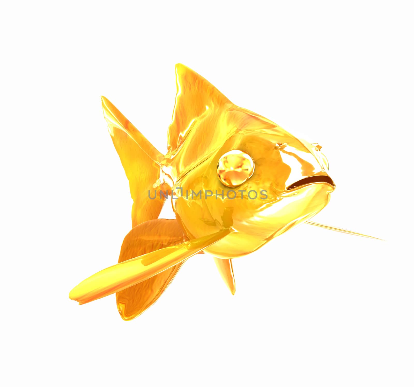 Gold fish. Isolation on a white background